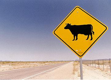 国产恐怖叙述游戏《吃香》定档预告 11月17日发售